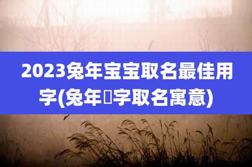 2023兔年宝宝取名最佳用字(兔年玥字取名寓意)