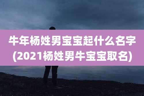 牛年杨姓男宝宝起什么名字(2021杨姓男牛宝宝取名)