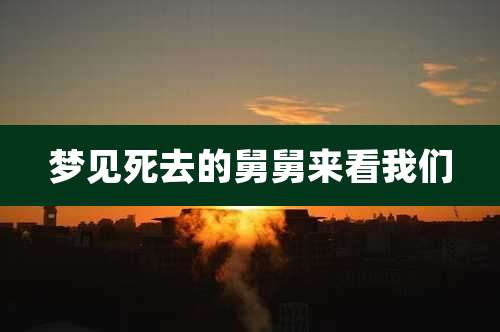 梦见死去的舅舅来看我们
