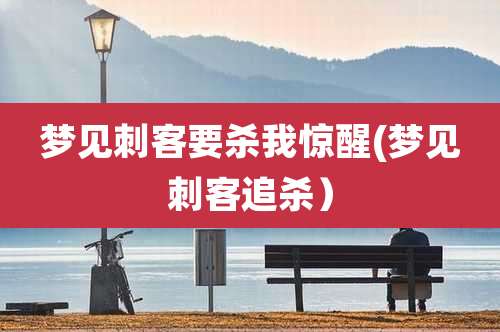 梦见刺客要杀我惊醒(梦见刺客追杀)