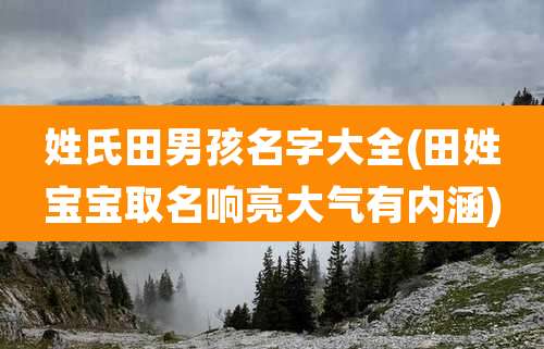 姓氏田男孩名字大全(田姓宝宝取名响亮大气有内涵)