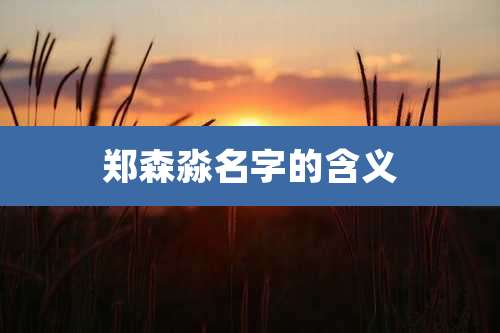 郑森淼名字的含义