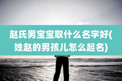 赵氏男宝宝取什么名字好(姓赵的男孩儿怎么起名)