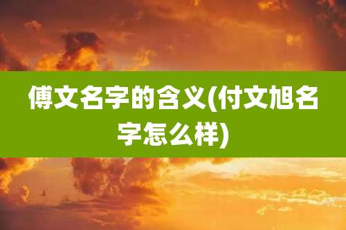 傅文名字的含义(付文旭名字怎么样)