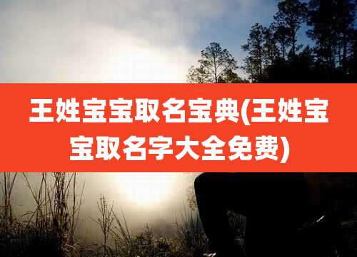 王姓宝宝取名宝典(王姓宝宝取名字大全免费)
