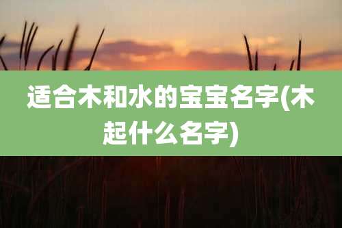 适合木和水的宝宝名字(木起什么名字)