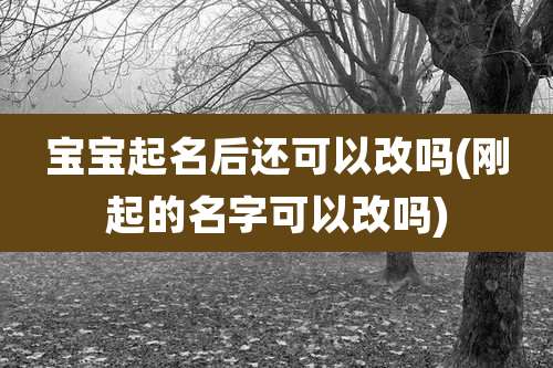 宝宝起名后还可以改吗(刚起的名字可以改吗)