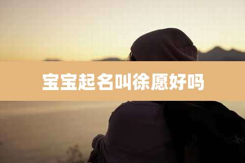 宝宝起名叫徐愿好吗