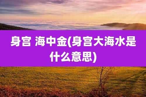 身宫 海中金(身宫大海水是什么意思)