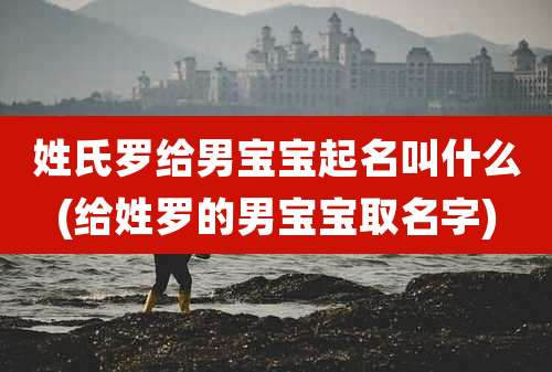 姓氏罗给男宝宝起名叫什么(给姓罗的男宝宝取名字)