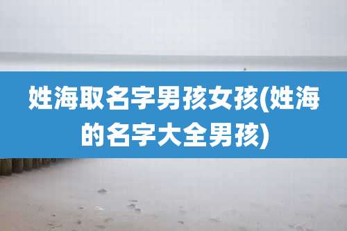 姓海取名字男孩女孩(姓海的名字大全男孩)