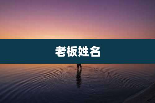 老板姓名