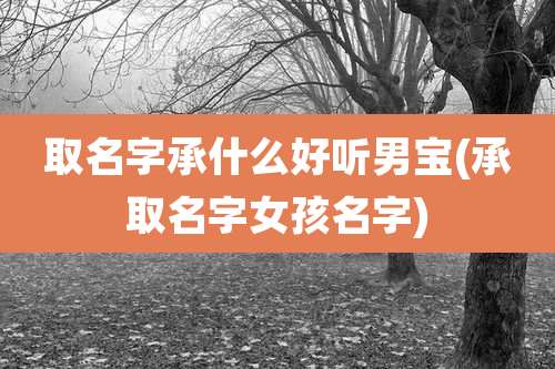 取名字承什么好听男宝(承取名字女孩名字)