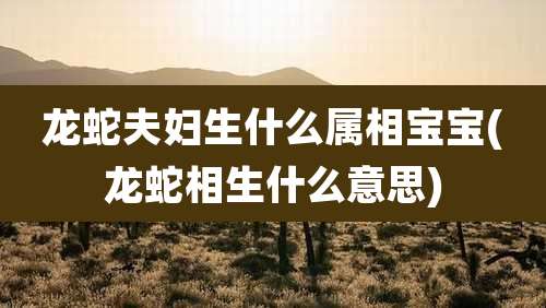 龙蛇夫妇生什么属相宝宝(龙蛇相生什么意思)