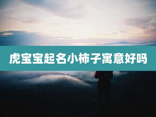 虎宝宝起名小柿子寓意好吗