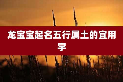 龙宝宝起名五行属土的宜用字