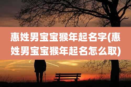 惠姓男宝宝猴年起名字(惠姓男宝宝猴年起名怎么取)