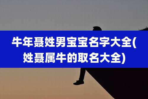 牛年聂姓男宝宝名字大全(姓聂属牛的取名大全)