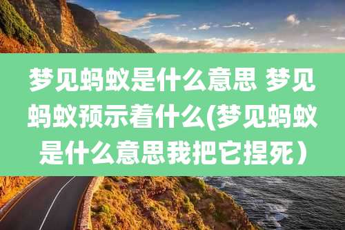 梦见蚂蚁是什么意思 梦见蚂蚁预示着什么(梦见蚂蚁是什么意思我把它捏死)