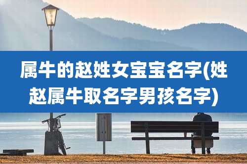 属牛的赵姓女宝宝名字(姓赵属牛取名字男孩名字)