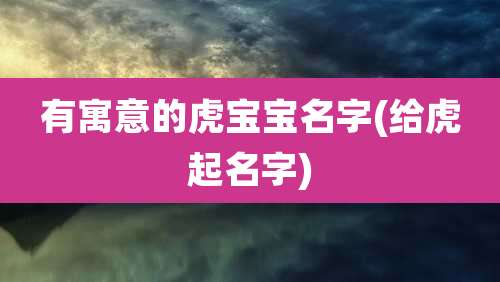 有寓意的虎宝宝名字(给虎起名字)