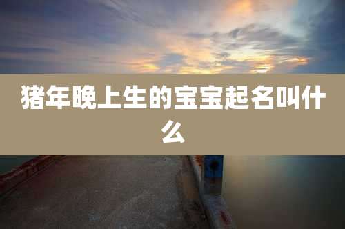 猪年晚上生的宝宝起名叫什么