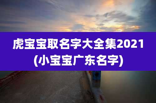 虎宝宝取名字大全集2021(小宝宝广东名字)