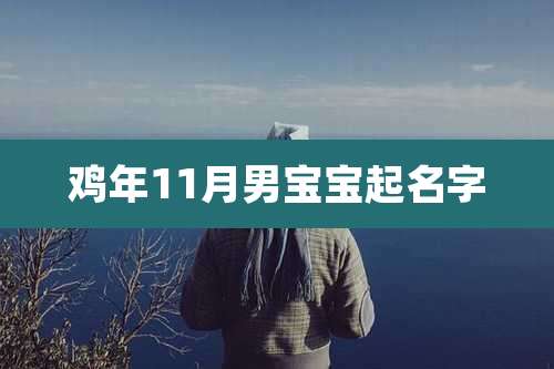 鸡年11月男宝宝起名字