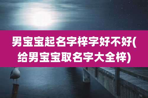 男宝宝起名字梓字好不好(给男宝宝取名字大全梓)