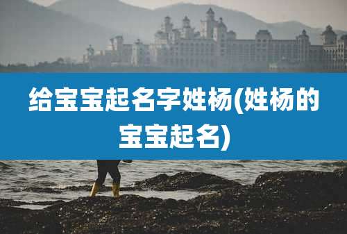 给宝宝起名字姓杨(姓杨的宝宝起名)