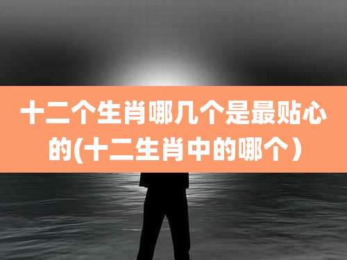 十二个生肖哪几个是最贴心的(十二生肖中的哪个）