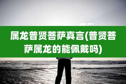 属龙普贤菩萨真言(普贤菩萨属龙的能佩戴吗)