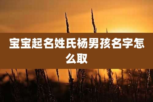 宝宝起名姓氏杨男孩名字怎么取