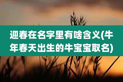 迎春在名字里有啥含义(牛年春天出生的牛宝宝取名)