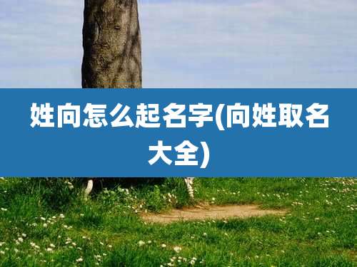 姓向怎么起名字(向姓取名大全)