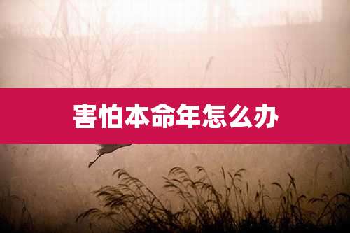 害怕本命年怎么办