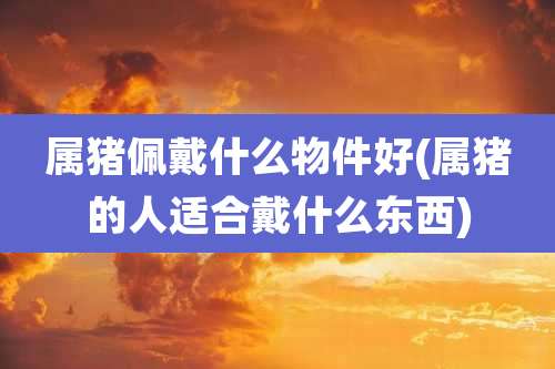 属猪佩戴什么物件好(属猪的人适合戴什么东西)