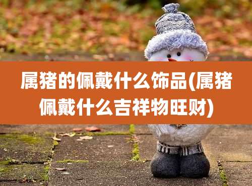 属猪的佩戴什么饰品(属猪佩戴什么吉祥物旺财)