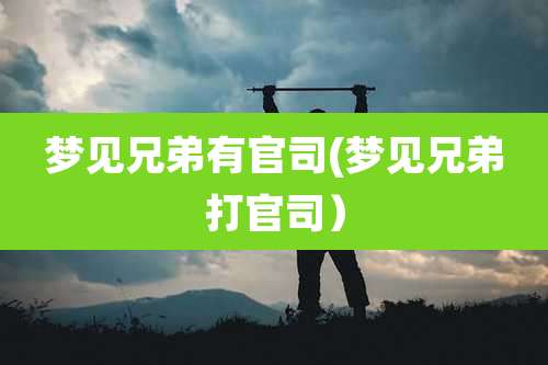 梦见兄弟有官司(梦见兄弟打官司)