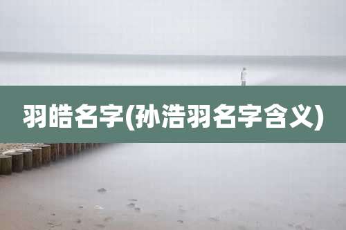 羽皓名字(孙浩羽名字含义)