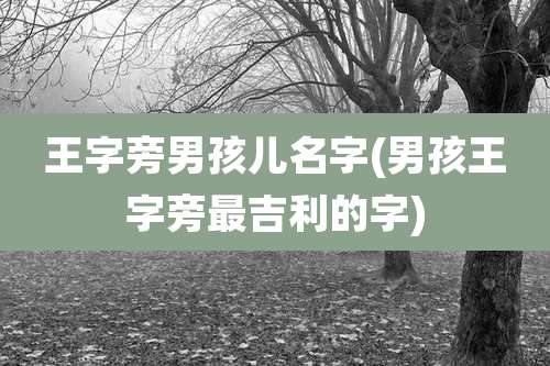 王字旁男孩儿名字(男孩王字旁最吉利的字)