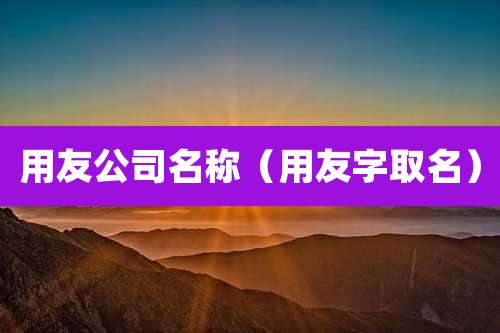 用友公司名称（用友字取名）