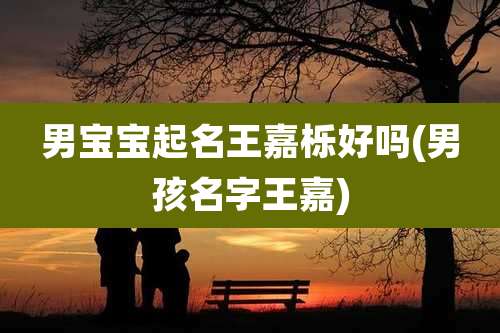 男宝宝起名王嘉栎好吗(男孩名字王嘉)