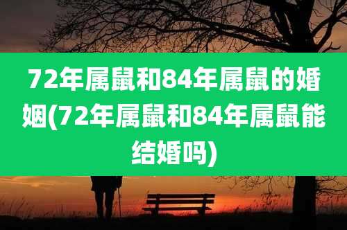72年属鼠和84年属鼠的婚姻(72年属鼠和84年属鼠能结婚吗)