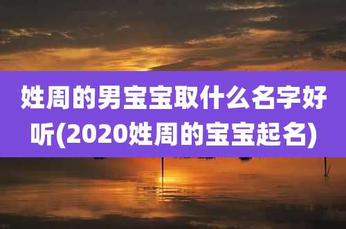 姓周的男宝宝取什么名字好听(2020姓周的宝宝起名)