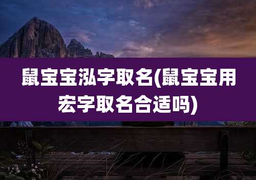 鼠宝宝泓字取名(鼠宝宝用宏字取名合适吗)
