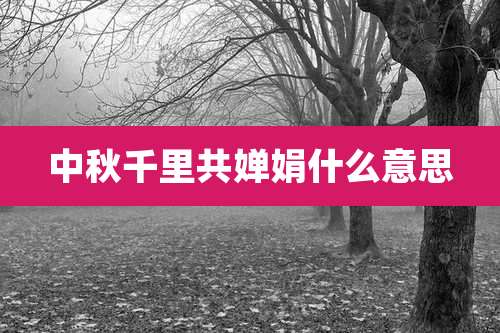 中秋千里共婵娟什么意思