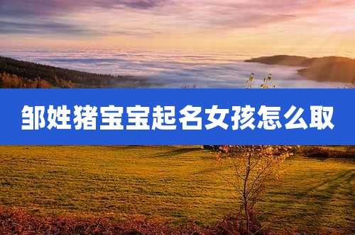邹姓猪宝宝起名女孩怎么取