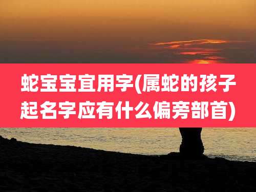 蛇宝宝宜用字(属蛇的孩子起名字应有什么偏旁部首)