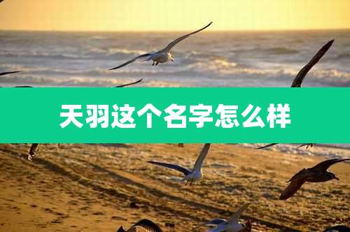 天羽这个名字怎么样